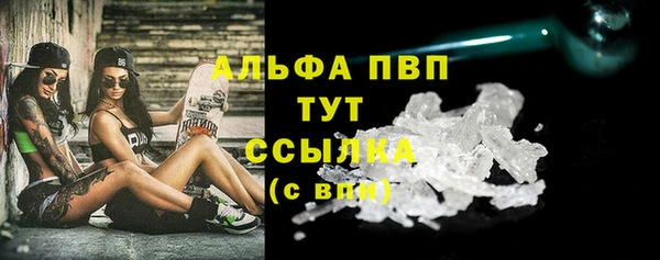 винт Магас