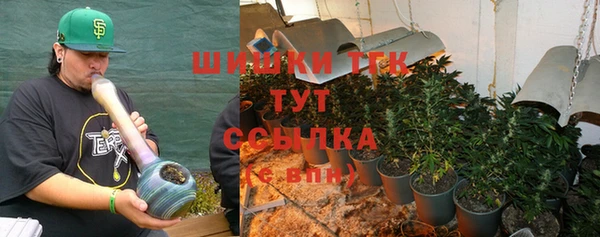 СК Медвежьегорск