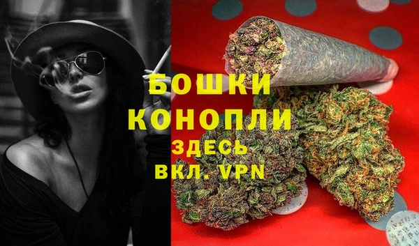 гидра Покачи