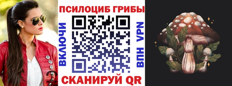 Псилоцибиновые грибы Psilocybe  площадка какой сайт  Суворов 